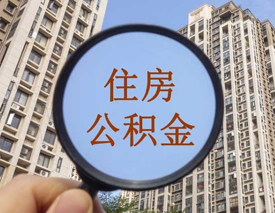 鹿邑公积金离职证明（鹿邑公积金离职证明范本）